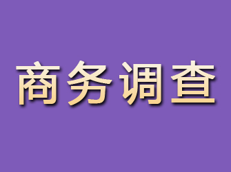 汉阳商务调查